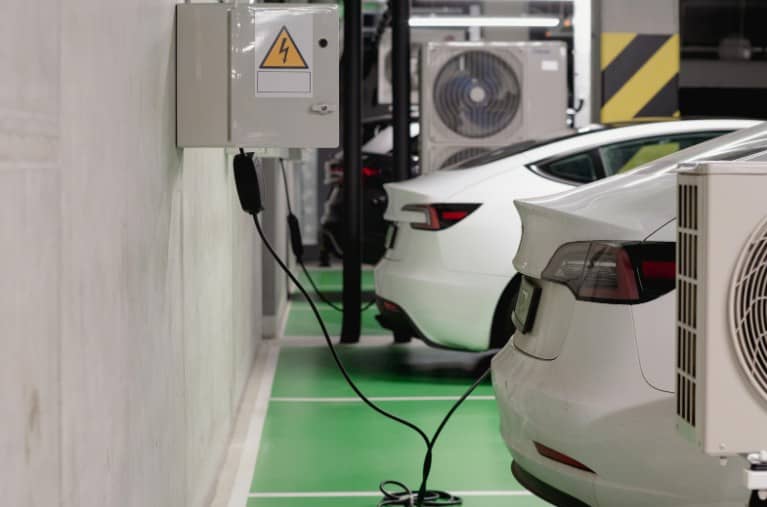 uvoz električnega vozila 1 (2)